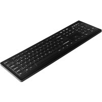 Active Key AK-C8100 Tastatur USB QWERTZ Deutsch Schwarz (AK-C8100F-UVS-B/GE)