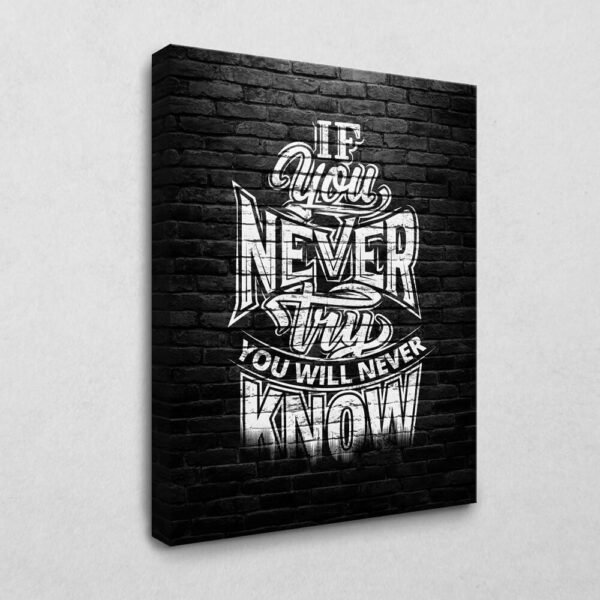 BE100 If you never try you'll never know 40 x 30 cm