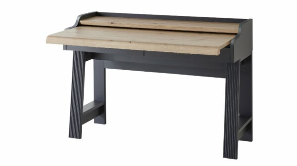 Die Möbelfundgrube Schreibtisch graphit - Artisan Eiche 120 cm - JASMIN