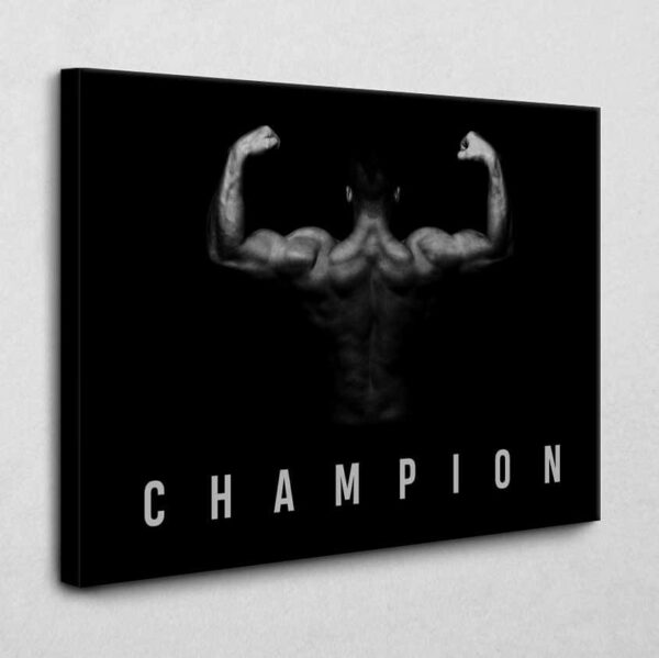 BE100 Champion 40 x 30 cm