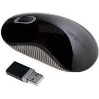 Targus Wireless Optical Mouse - Maus - optisch - drahtlos - 2