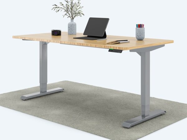 Ergotopia Desktopia Pro X - Elektrisch höhenverstellbarer Schreibtisch / Ergonomischer Tisch mit Memory-Funktion, 7 Jahre Garantie - (Bambus Echtholz, 160x80 cm, Gestell Grau)