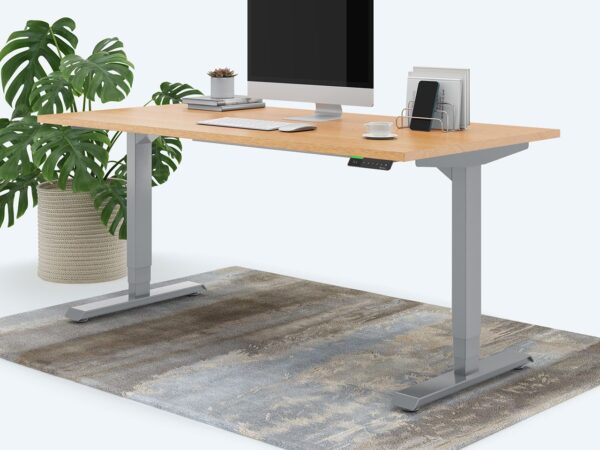 Ergotopia Desktopia Pro X - Elektrisch höhenverstellbarer Schreibtisch / Ergonomischer Tisch mit Memory-Funktion, 7 Jahre Garantie