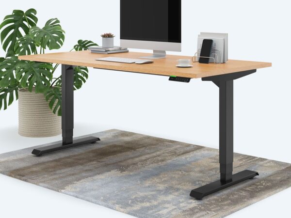 Ergotopia Desktopia Pro X - Elektrisch höhenverstellbarer Schreibtisch / Ergonomischer Tisch mit Memory-Funktion, 7 Jahre Garantie -