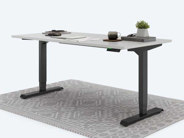 Ergotopia Desktopia Pro X - Elektrisch höhenverstellbarer Schreibtisch / Ergonomischer Tisch mit Memory-Funktion, 7 Jahre Garantie - (Grau, 120x80 cm, Gestell Schwarz)