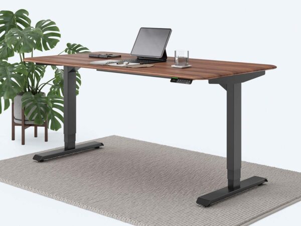 Ergotopia Desktopia Pro X - Elektrisch höhenverstellbarer Schreibtisch / Ergonomischer Tisch mit Memory-Funktion, 7 Jahre Garantie