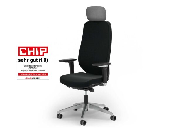 Ergotopia Ergotopia MasterBack Executive: Mordernes Design und ergonomische High-End-Bauteile der Extraklasse