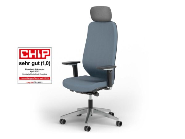 Ergotopia Ergotopia MasterBack Executive: Mordernes Design und ergonomische High-End-Bauteile der Extraklasse