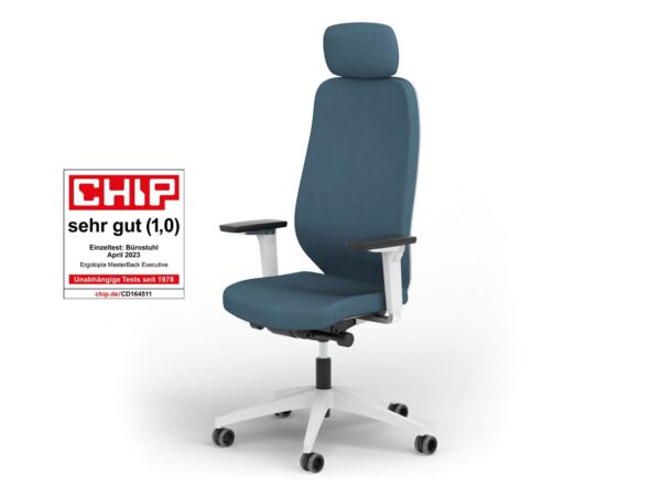 Ergotopia Ergotopia MasterBack Pro: Mordernes Design und ergonomische High-End-Bauteile der Extraklasse